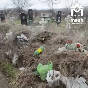 �����-�� ������ �������� ������� ������ �� ��������� ��������