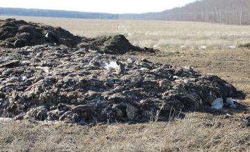 � �������� ������������� ������������ �� ���������� � ���������� �������������������� �������� � ����� ���������� ��������� ������, ����� ��� �����/�����, ������ ���������, �������� �����,������ ��������� � �.�. ��� ��...