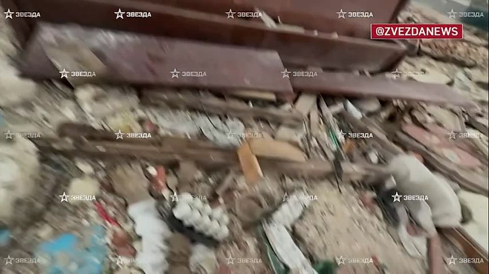 ©©©©©Наш военкор показал, как сейчас выглядит Новоэкономическое