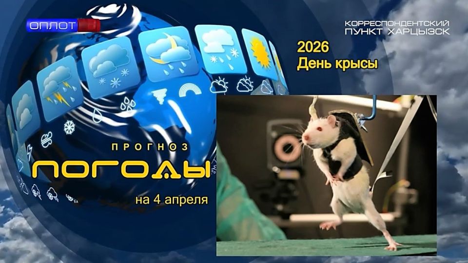 ������� ������. 4 ������ � ��������� ���� �����