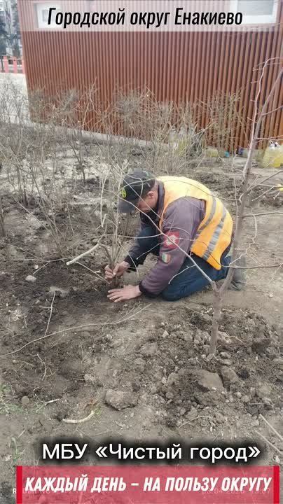 ������� ���� � �� ������ ������