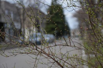 ������ ��������: ������������� ��������. 03 ������ � ���������� ���������� ����������, ������� ��������� �����