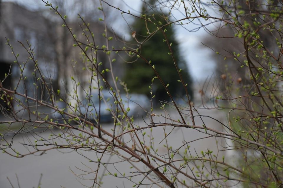 Сергей Желновач: Гидрометцентр сообщает. 03 апреля в Республике переменная облачность, местами небольшие дожди
