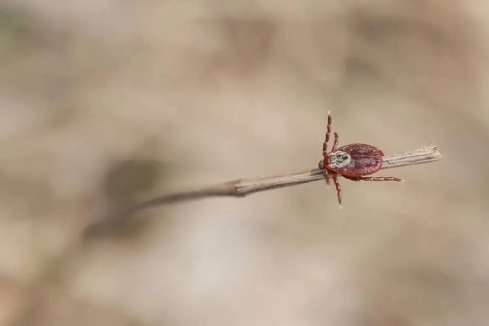 ���������� - �����!�: ������� ��� ��������� � ����� ���������������� � ������ ������ ��� ����� �������� ����������