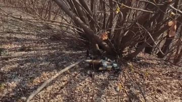 ���������� ���������� �������� ��������� �� ���� � ��������