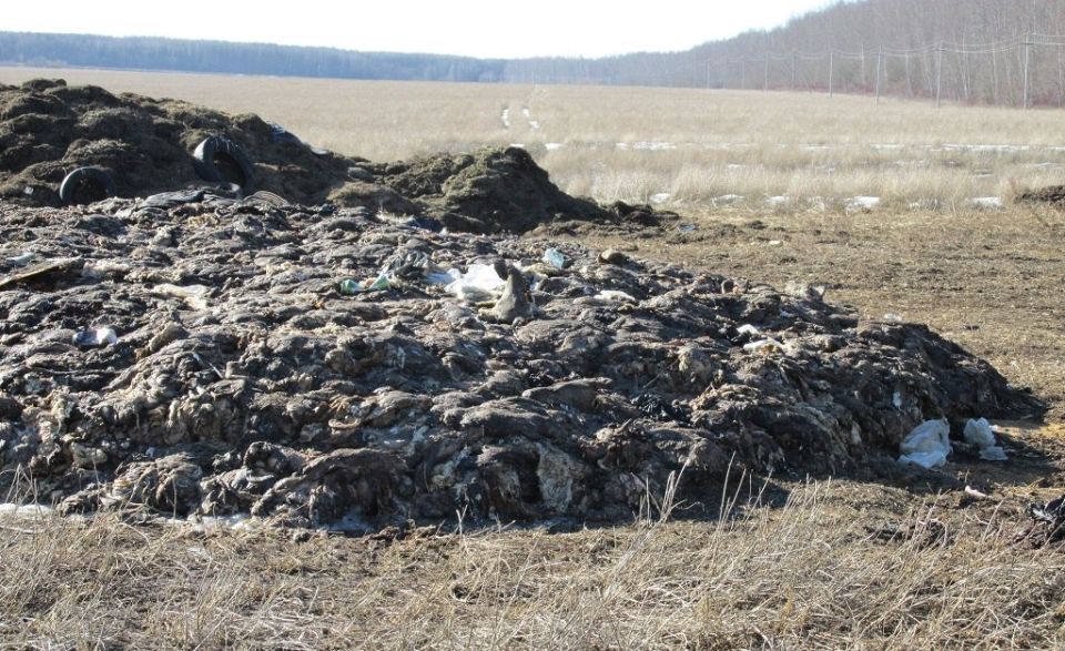 � �������� ������������� ������������ �� ���������� � ���������� �������������������� �������� � ����� ���������� ��������� ������, ����� ��� �����/�����, ������ ���������, �������� �����,������ ��������� � �.�. ��� ��...