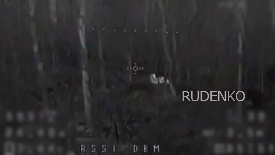 ������ �������: ������ ������ ����� ����������� ������ ����������� ����� ������ �� ������������� �����������