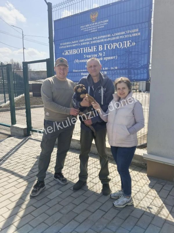 Алексей Кулемзин: Предоставляя бездомным животным надежный кров, питание и необходимую медицинскую помощь, предприятие «Животные в городе» открывает для них двери в совершенно новую жизнь Алексей Кулемзин: Предоставляя бездомным животным надежный кров, питание и необходимую медицинскую помощь, предприятие «Животные в городе» открывает для них двери в совершенно новую жизнь