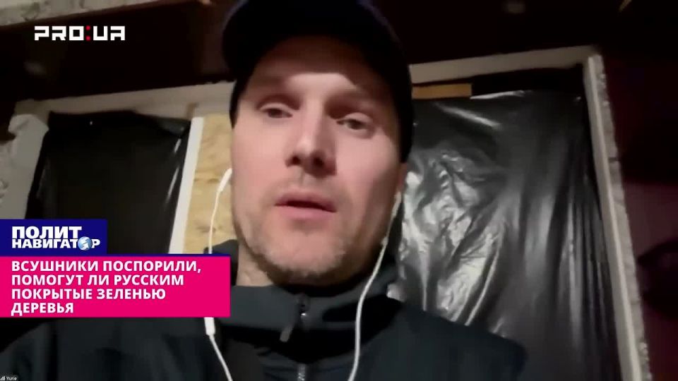 ВСУшники спорят, помогут ли русским покрытые зеленью деревья