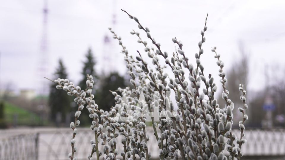 � ���������� �������� ����������� �������� �� ������ �������