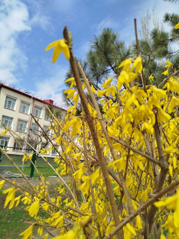 ����� ������ ������. ������������-������ ������� �� ����� ������ ���������� �����������, ����� ������ �������� ������ -������ �������� ���������� �� ��������, - ��� ��������