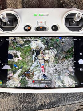 ������� �������