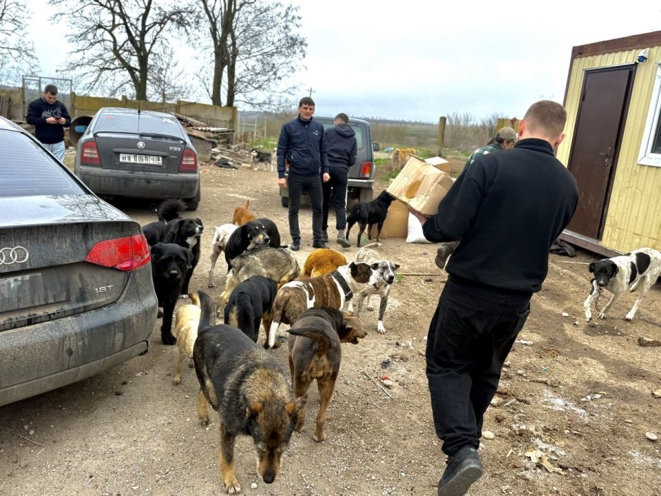 «Доброслужащий» делает первый шаг: акция «Лапа добра» в приюте «Лучший друг»! «Доброслужащий» делает первый шаг: акция «Лапа добра» в приюте «Лучший друг»!