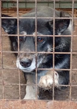 ������� ��������: ������������ ��������� �������� �������� ����, ������� � ����������� ����������� ������, ����������� ��������� � ������ ��������� ��� ��� ����� � ���������� ����� �����