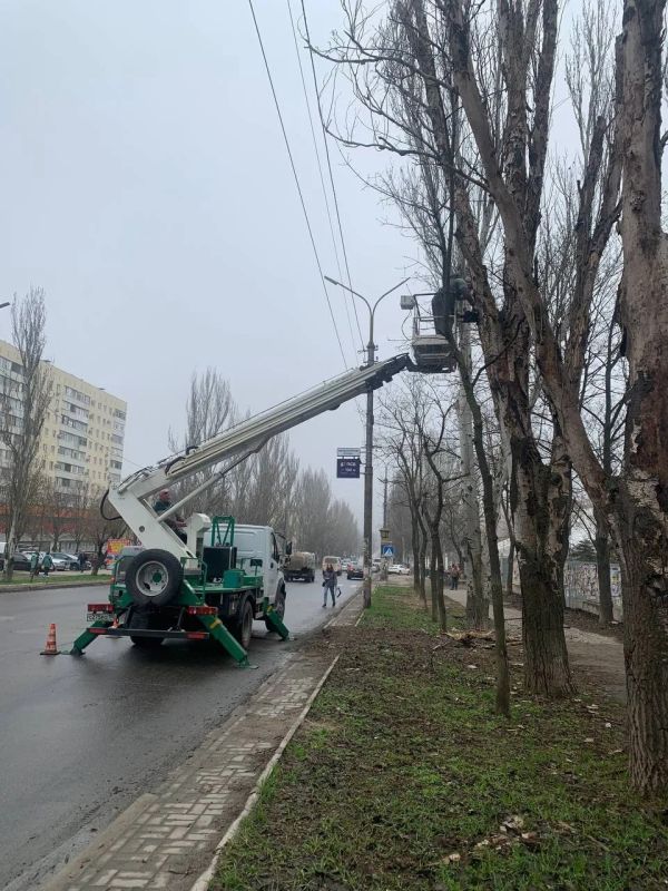 На улицах Мариуполя коммунальщики продолжают обрезку деревьев