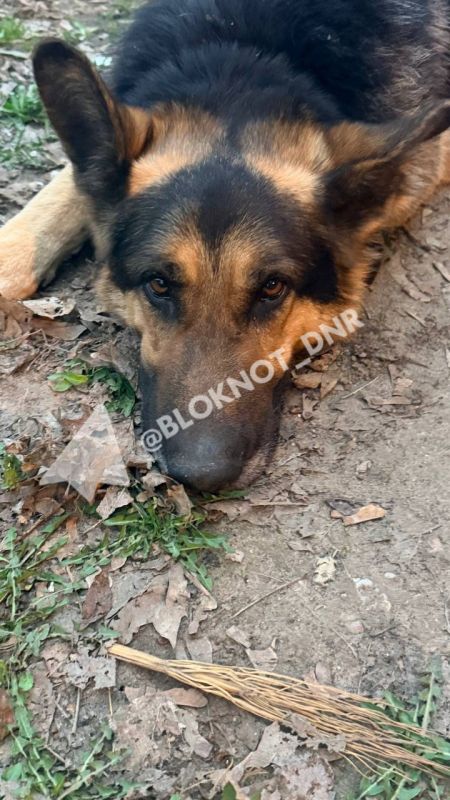 ��������� ������ ��������� � ����������� ������ ������� ���: �������, �� ���?