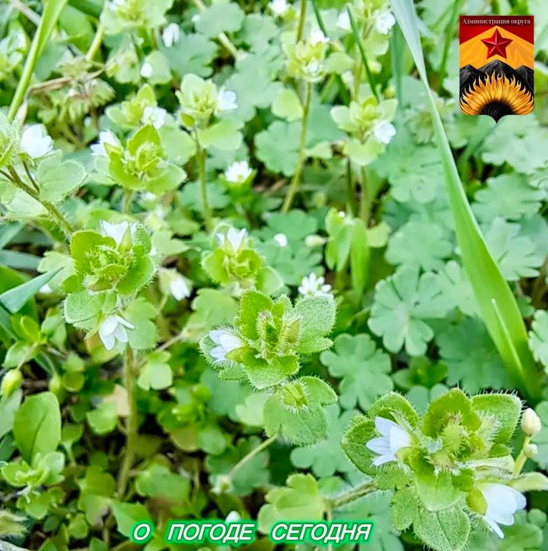 Гидрометцентр сообщил о погоде в Шахтерском округе