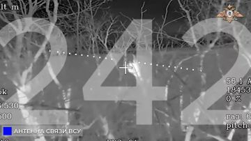 242 ��� ������ ����, ������� ��� � ���� ��� � ������������ � ������������