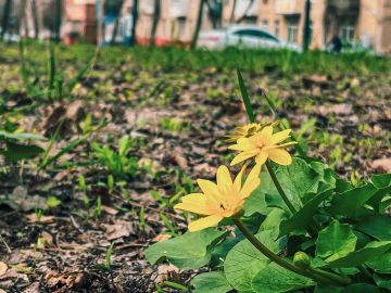 Давай прогуляемся по городу