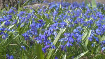 Гидрометцентр сообщает. 04 апреля в Республике переменная облачность, местами небольшие дожди