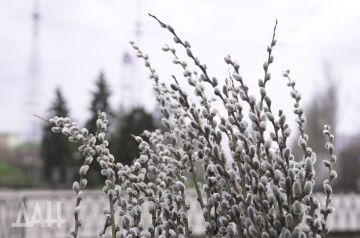 �������� � ������. ��������� ������������ ������� ��� � ��������� �����������