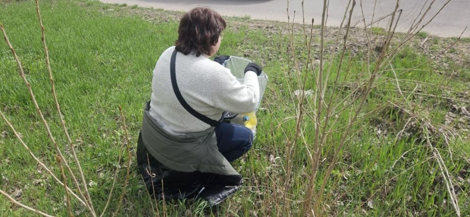 В Центрально-Городском районе состоялся субботник В Центрально-Городском районе состоялся субботник