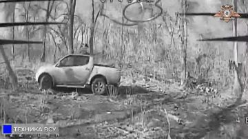 ������ �������� 238 ������� ���������� ����� � �������� ��� � ���������-���������