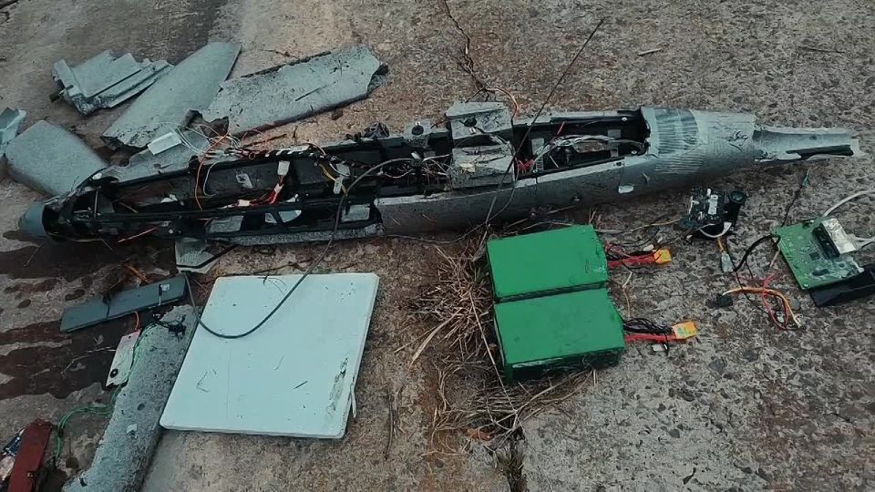 ���������� ������� ���� "Hornet", ������ ����� ��� ���� �����