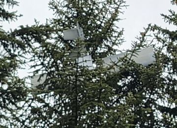 ������� ���� "Darts", ����������� "������� ��������" ��� ����������