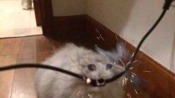 Донецк, Макеевка, Ясиноватая - перепады напряжения