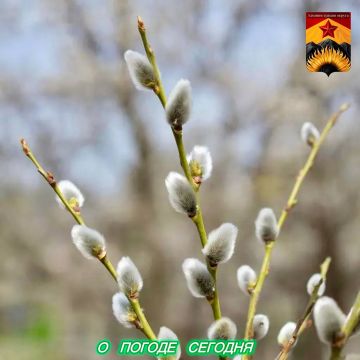 Александр Шатов: Гидрометцентр сообщил о погоде в Шахтерском округе