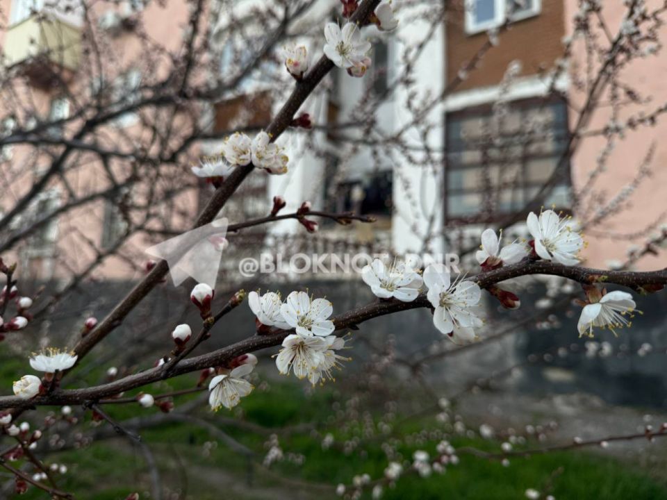 �� ������ ������� �������� �������� �������