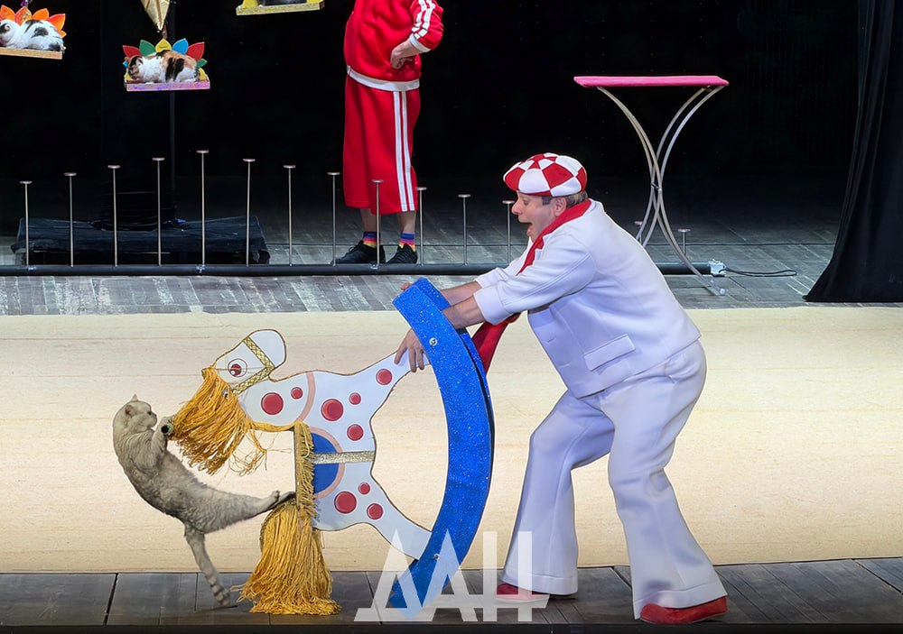 Театр кошек Куклачева впервые выступил с большой программой в Донецке 4 апреля Театр кошек Куклачева впервые выступил с большой программой в Донецке 4 апреля