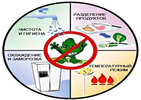Не все микробы опасны. Некоторые из них помогают переваривать пищу, производить лекарства или готовить продукты и напитки