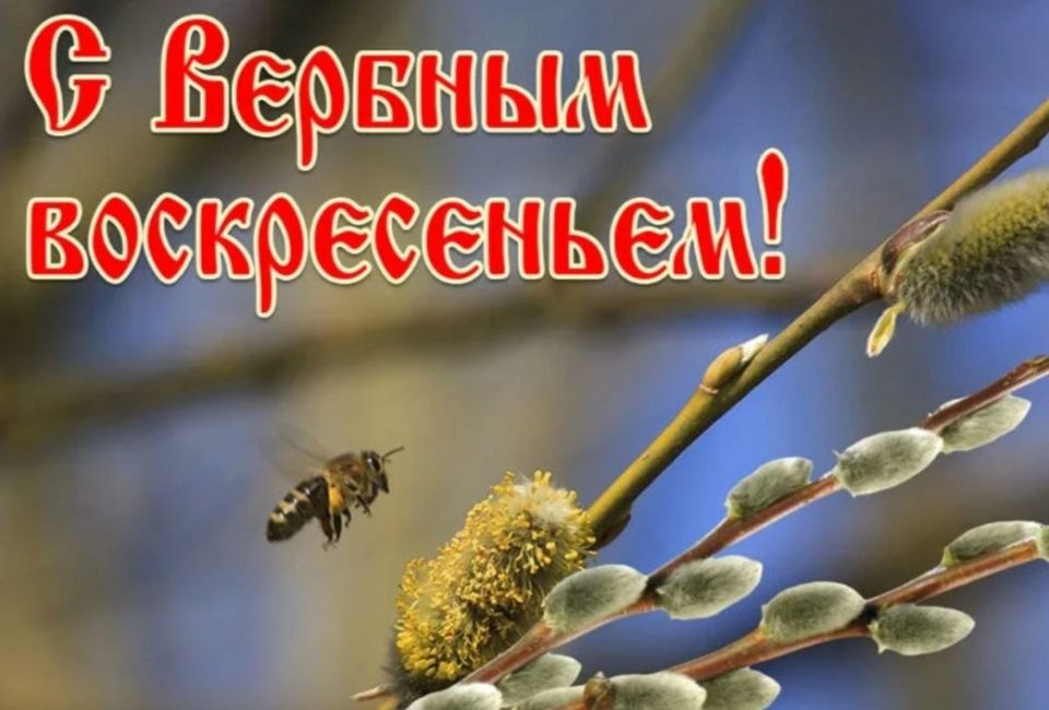 Дорогие торезцы!. Поздравляю вас с чудесным, добрым праздником — Вербным воскресеньем! Пусть светлый праздник заряжает теплой энергией, дает силы на осуществление задуманного