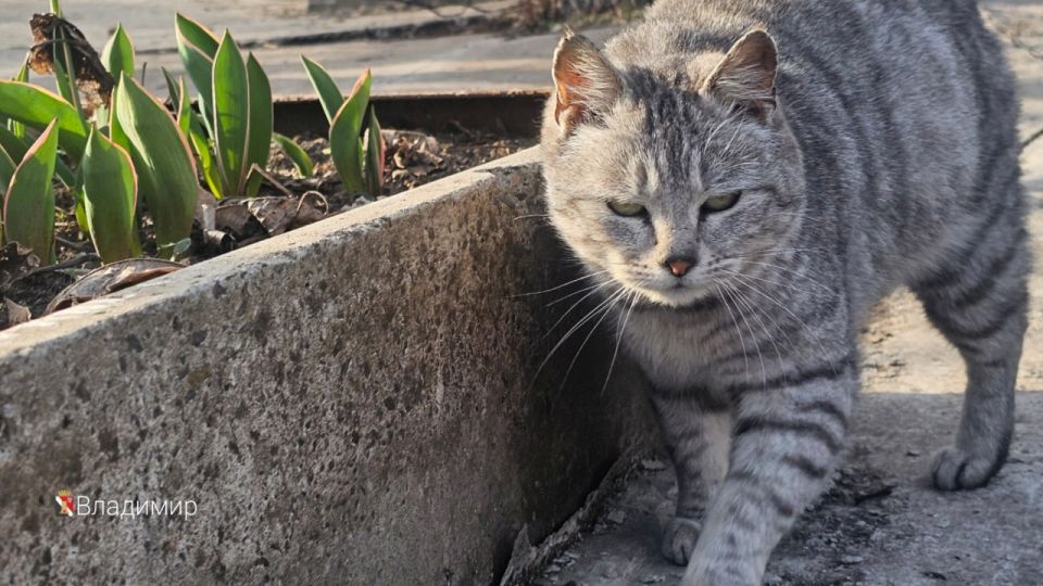 Игорь Мартынов: Счастливого выходного дня!