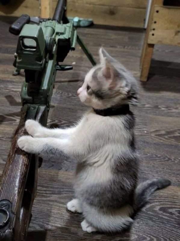 Доброе утро, Донбасс!. Помогает нашим бойцам Прогноз погоды на 5.04.2026 Донецкая Народная Республика: