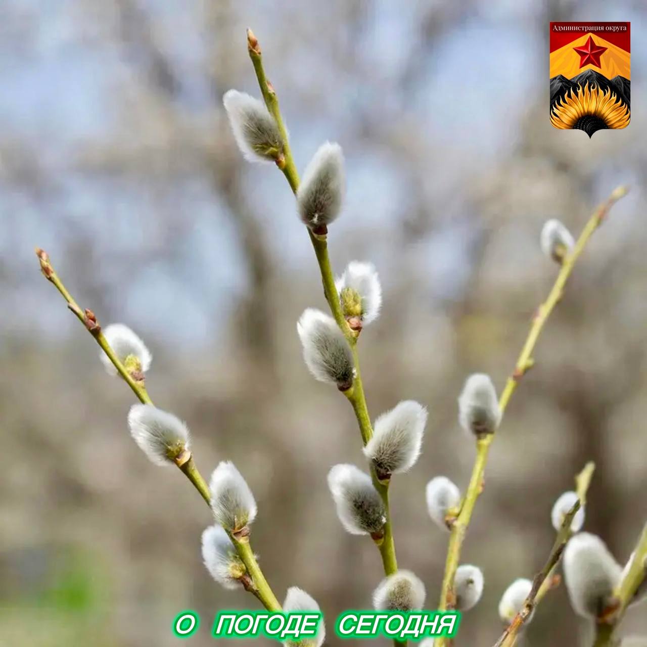 Александр Шатов: Гидрометцентр сообщил о погоде в Шахтерском округе