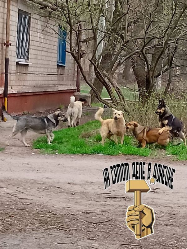 #нампишут. г. Горловка, улица Комсомольская, Нестерова