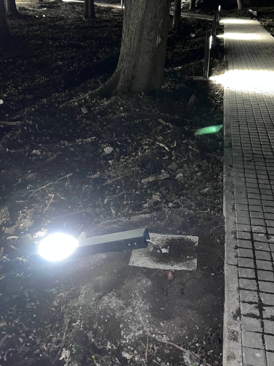 Александр Пеняев: Очередное разочарование — не в парке «Машиностроитель», а в людях