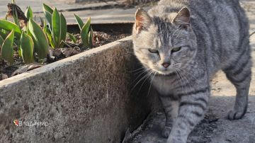 Игорь Мартынов: Счастливого выходного дня!