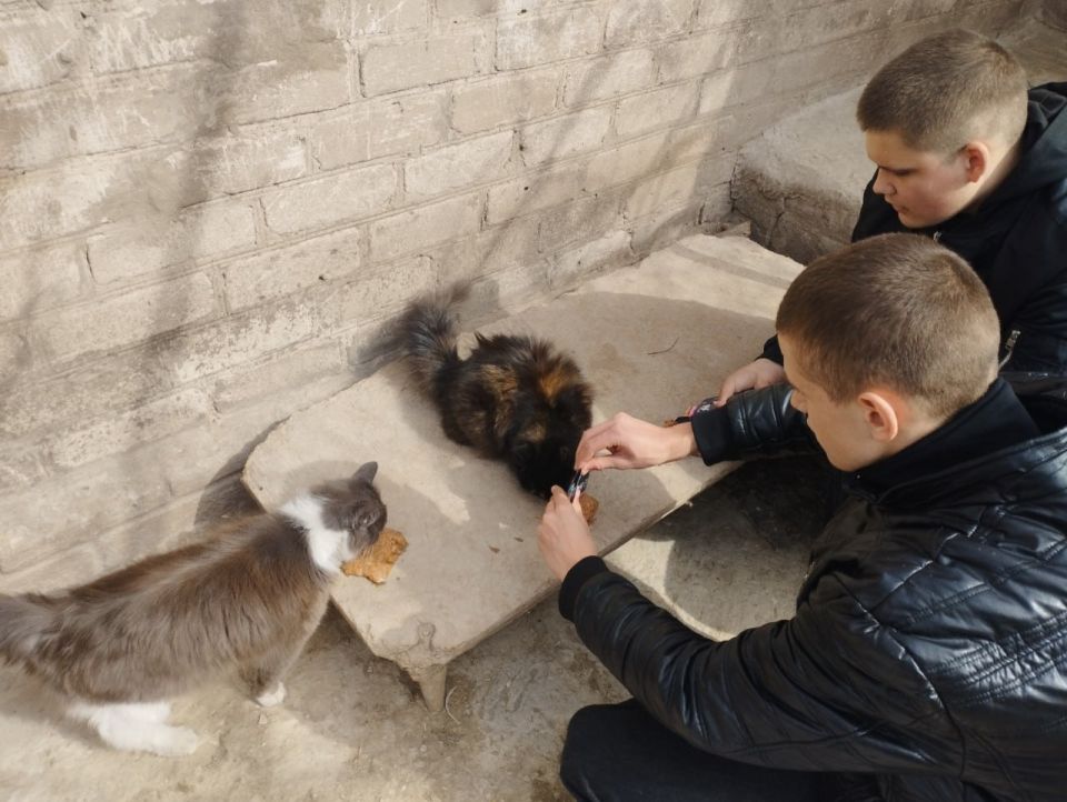 Школьники Ждановки помогли приюту для животных Школьники Ждановки помогли приюту для животных