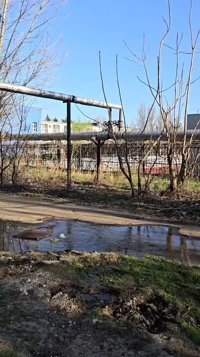 �������� ������ �������� ����� ����� �������� ��������� � ����������� ������ �������