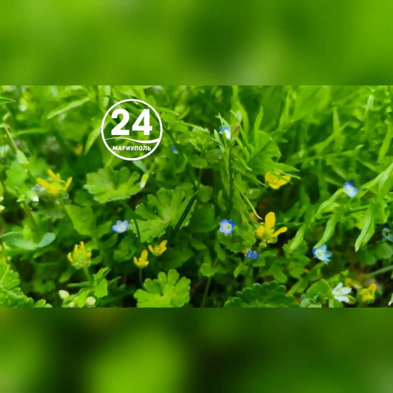 С добрым утром, Мариуполь!