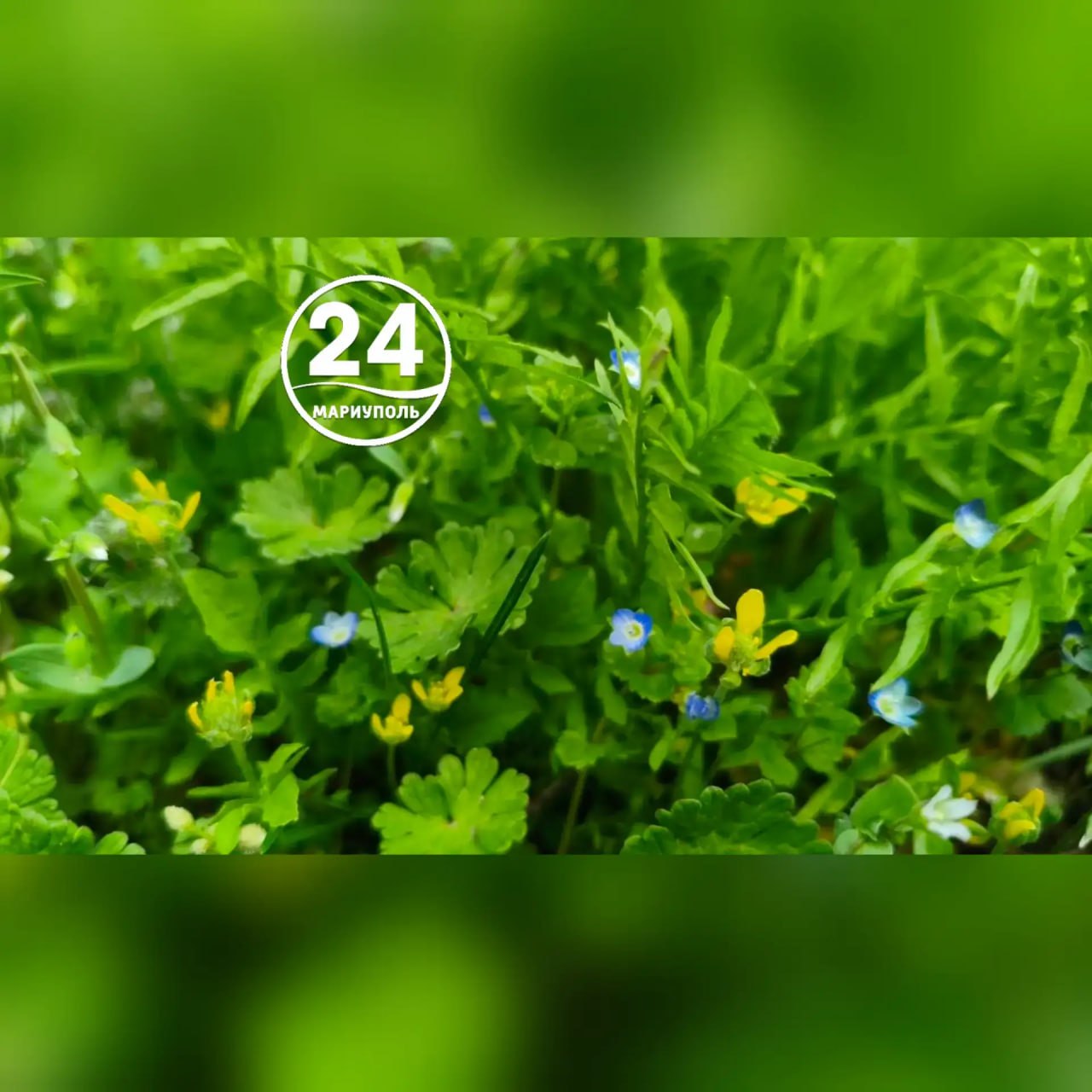 С добрым утром, Мариуполь!