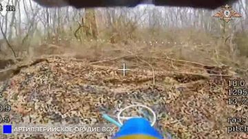 ��������������� �������� 238 ������� ���������� �-30 ��� � ������ ������������