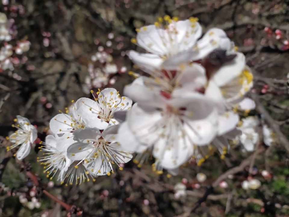 Желаем всем продуктивной рабочей недели и хорошего дня!