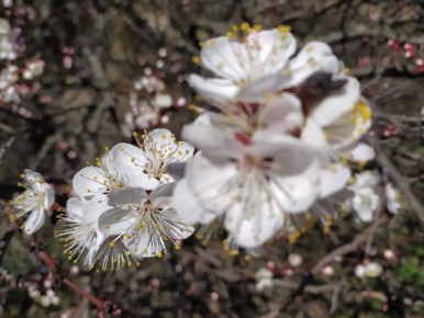 ������ ���� ������������ ������� ������ � �������� ���!