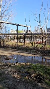 �������� ������ �������� ����� ����� �������� ��������� � ����������� ������ �������