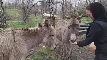 �������� �������� ����������� � �����-���������� ��������� � ��� ������ ��� ������